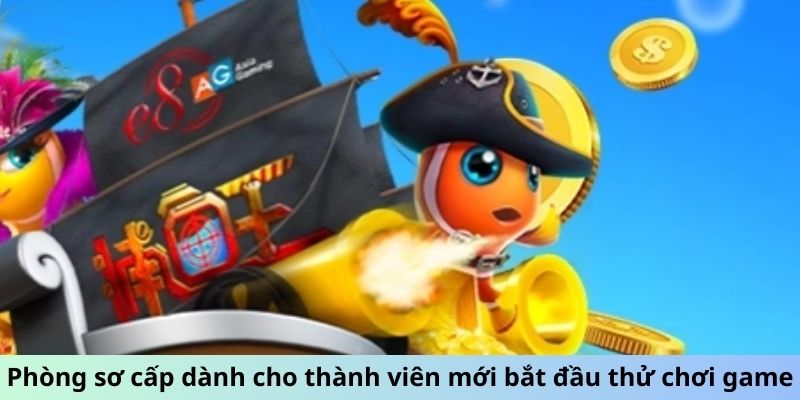 Phòng sơ cấp dành cho thành viên mới bắt đầu thử chơi game